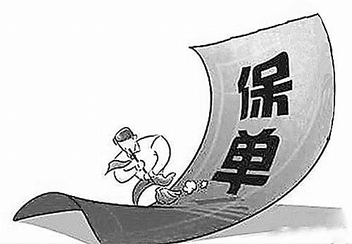 保單要是丟了怎么辦？多保魚來告訴你