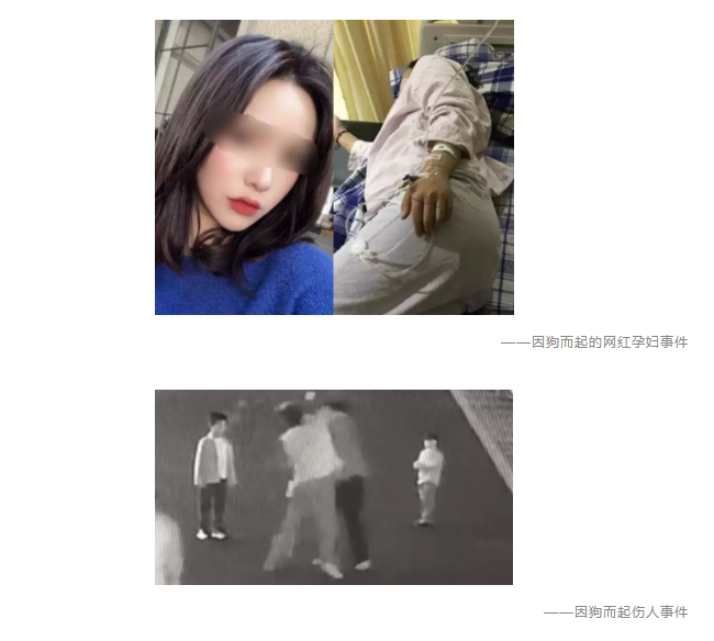 為什么不買保險(xiǎn)就不讓養(yǎng)狗？