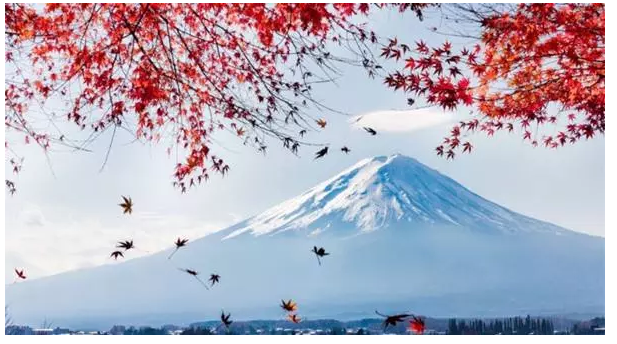 尊享e生值不值得購買？