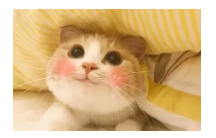 到底什么是保單貼現？