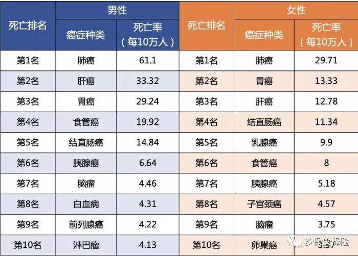 女性高發(fā)重疾怎么選？