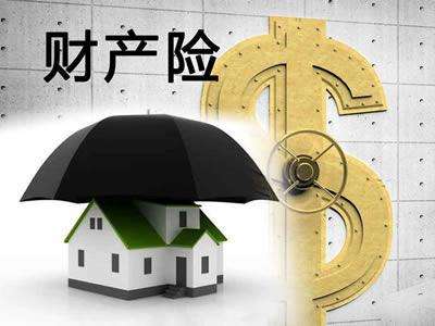 財(cái)產(chǎn)保險(xiǎn)的種類包括哪些？