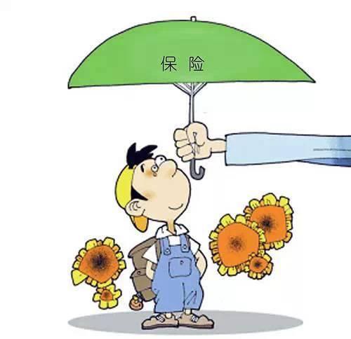 4.025% 年金險真的值得買嗎？錯過了就不再有了？